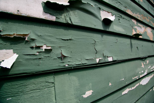 Best Scrap Metal Removal  in Spring Hope, NC