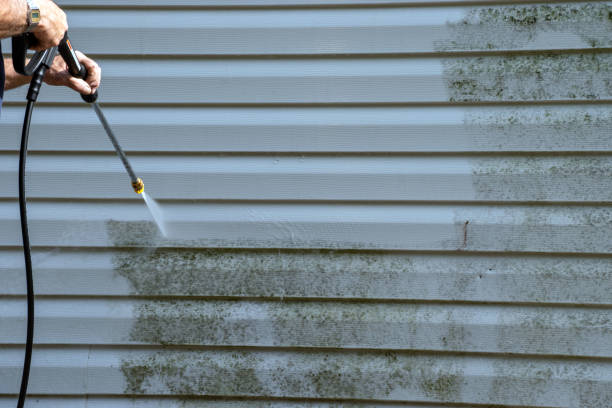 Best Yard Waste Removal  in Spring Hope, NC